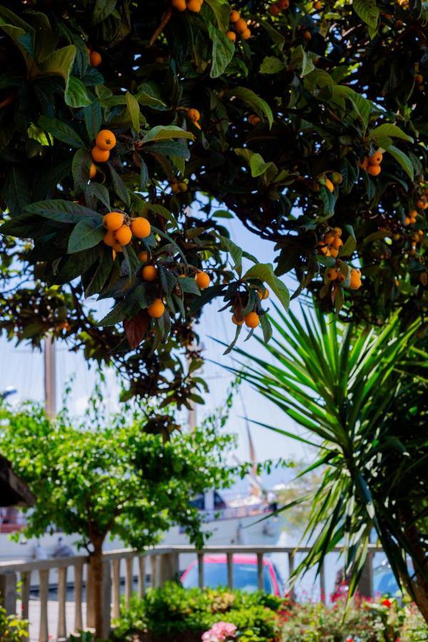 Mediterranean Garden Apartements * Krilo